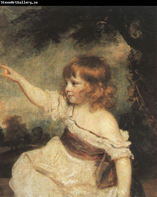 Sir Joshua Reynolds Master Hare